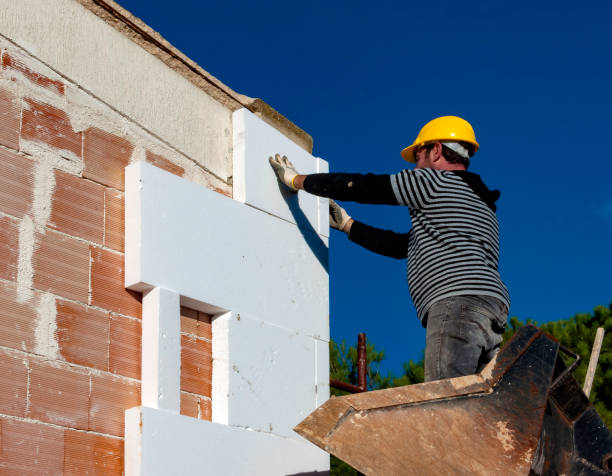 Best Specialized Insulation Services in Wyldwood, TX