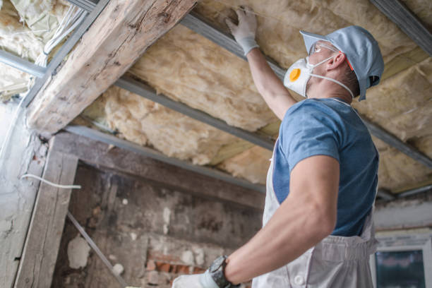 Best Fiberglass Insulation in Wyldwood, TX