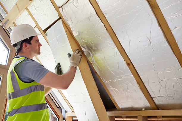 Best Geographic-Specific Insulation Services in Wyldwood, TX