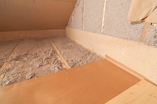 Best Eco-Friendly Insulation in Wyldwood, TX