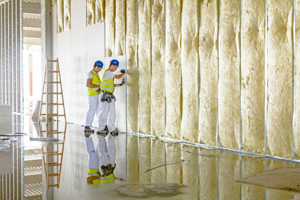 Best Commercial Insulation in Wyldwood, TX